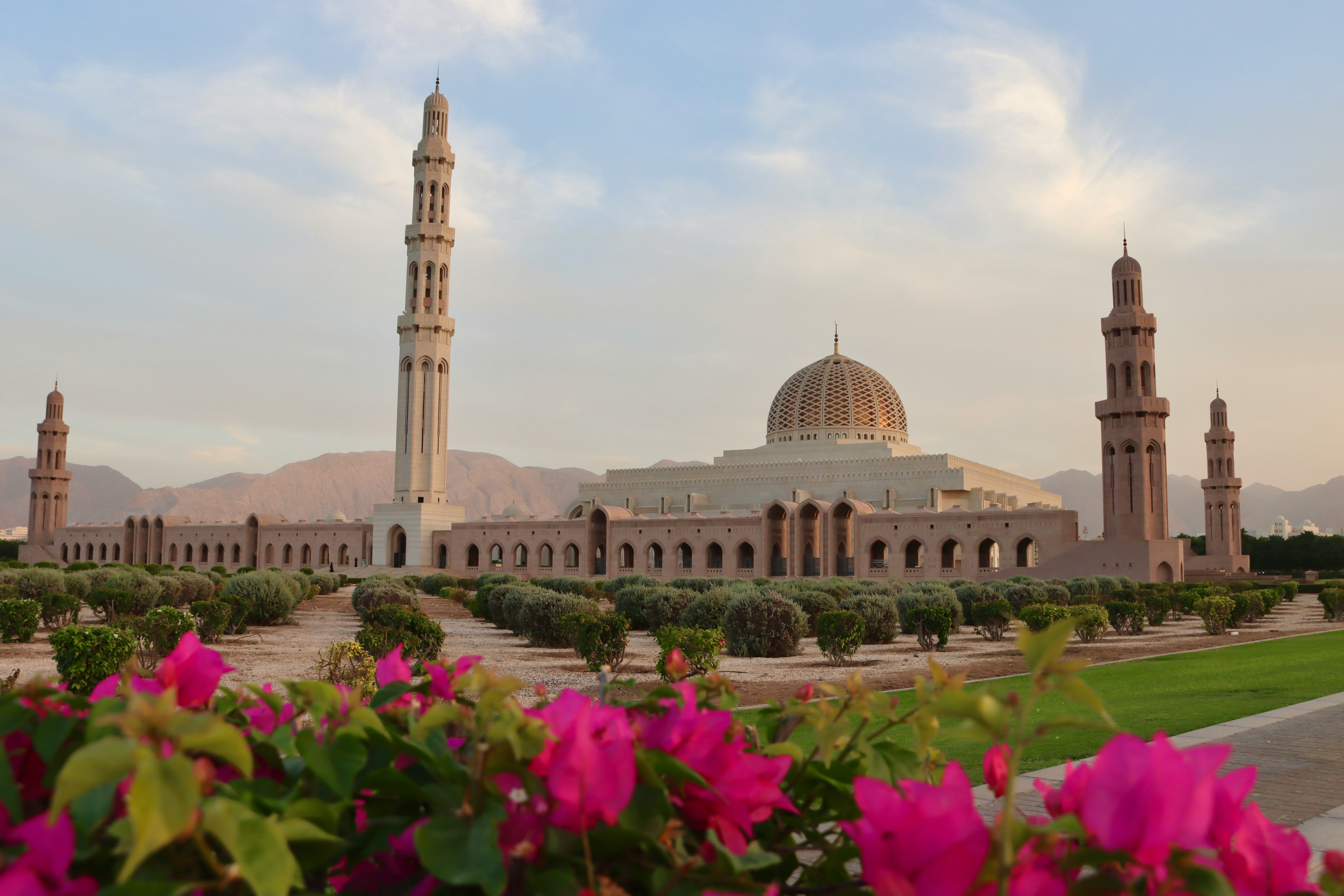 مسقط